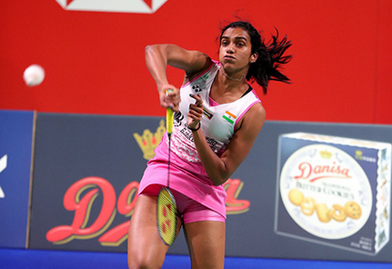 丹麦队碾压法国队，辛杜惊艳四座的简单介绍