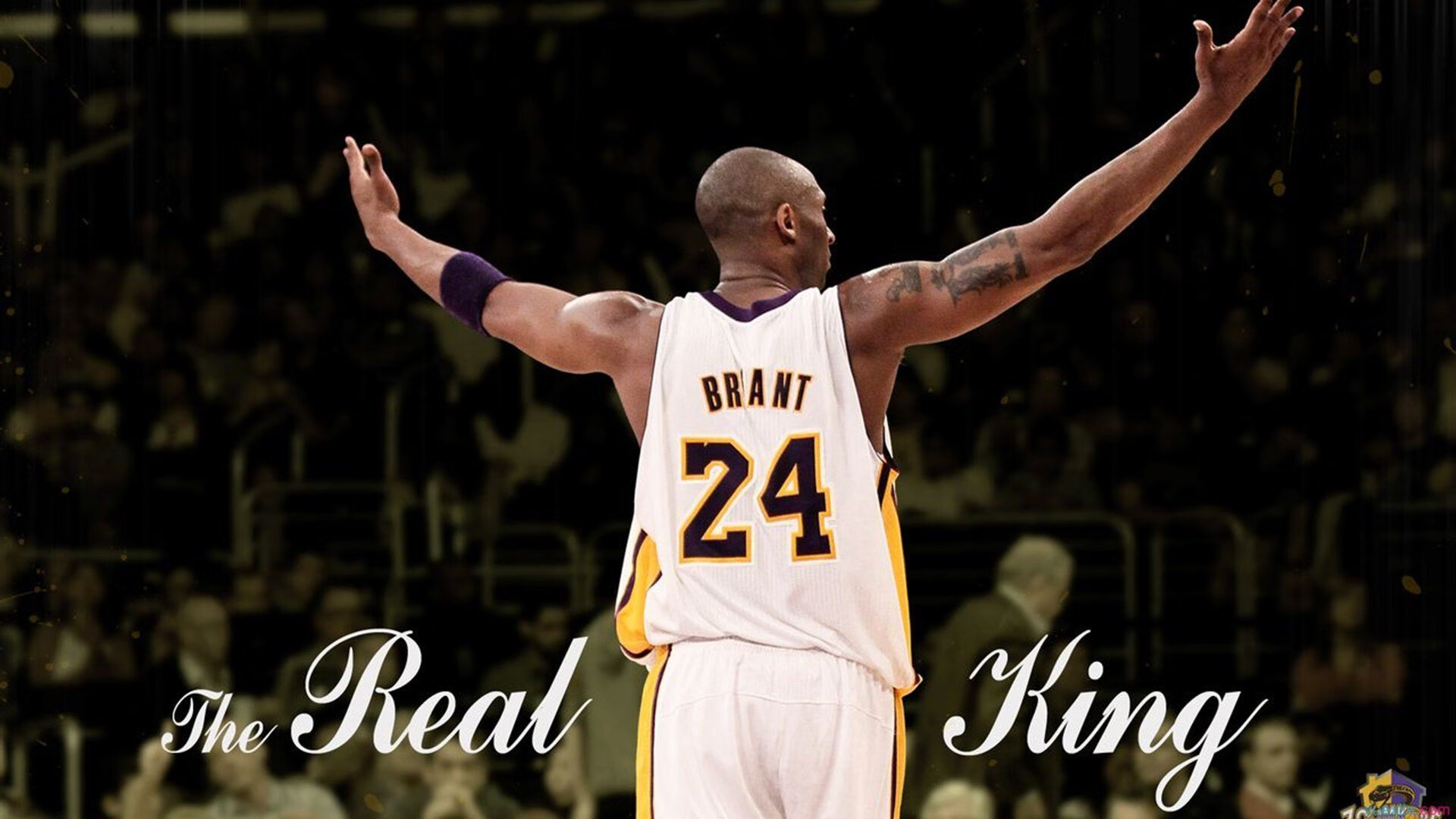 从切特到鹈鹕,数据统治力如何改写季后赛命运