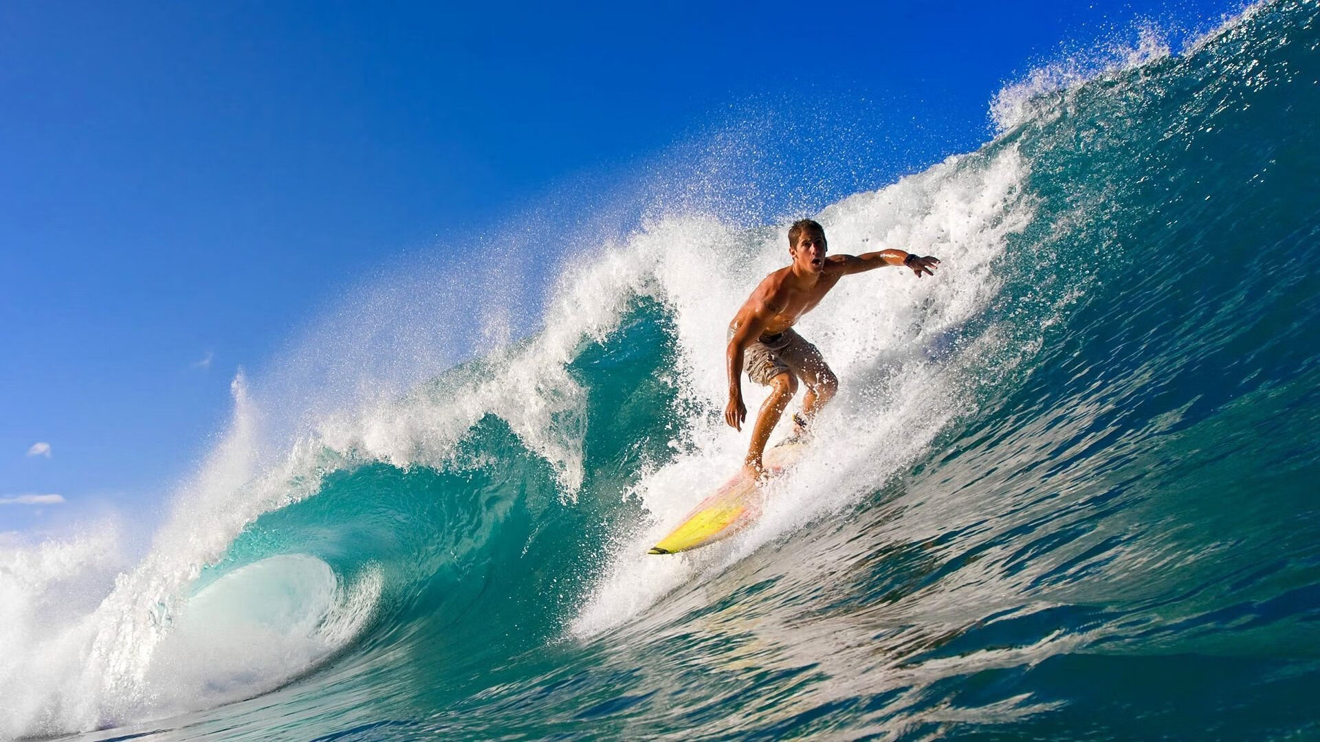 开拓者节奏掌控吉林队，福克斯成为关键先生